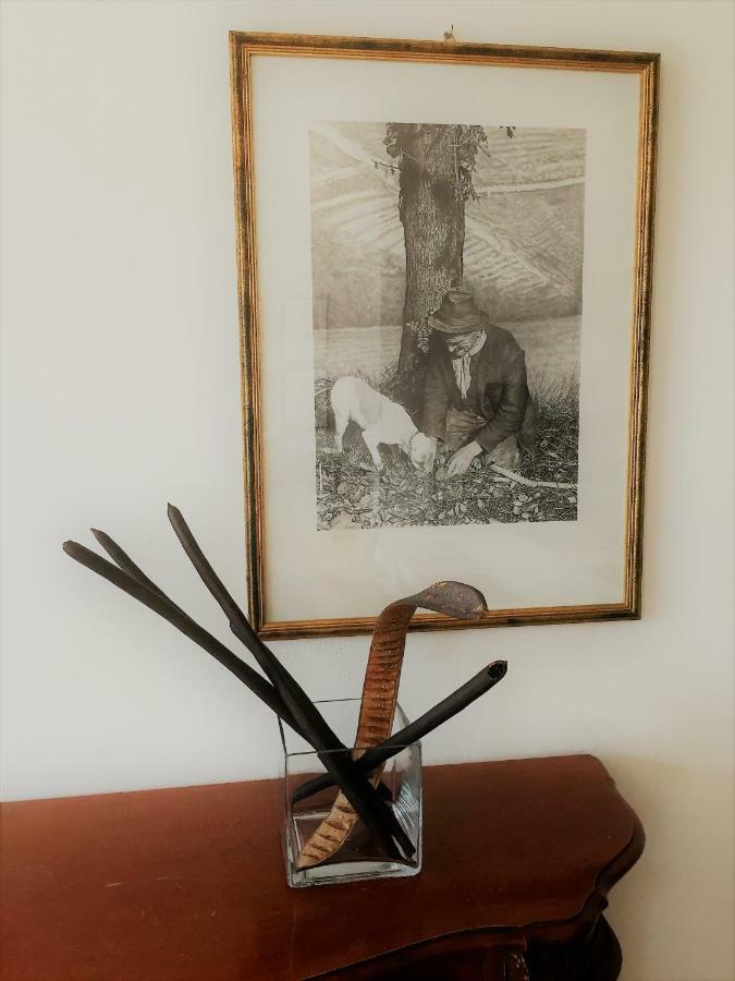 Apartmán Casa "T" Alba  Exteriér fotografie